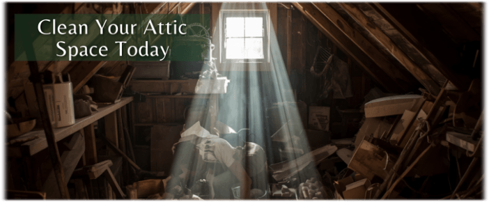 Attic Cleaning Geneva IL
